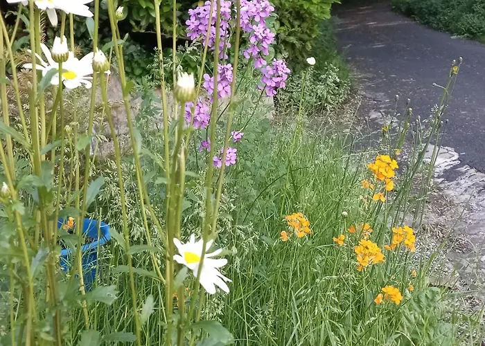 Um Burebierg Apartment 35M2 Buschrodt照片